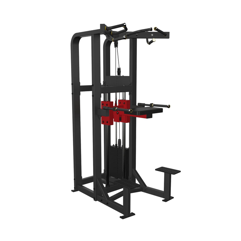Assisted Chin Dip  Dstars Gym Equipment Philippines