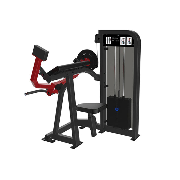 Bicep Curl  Dstars Gym Equipment Philippines