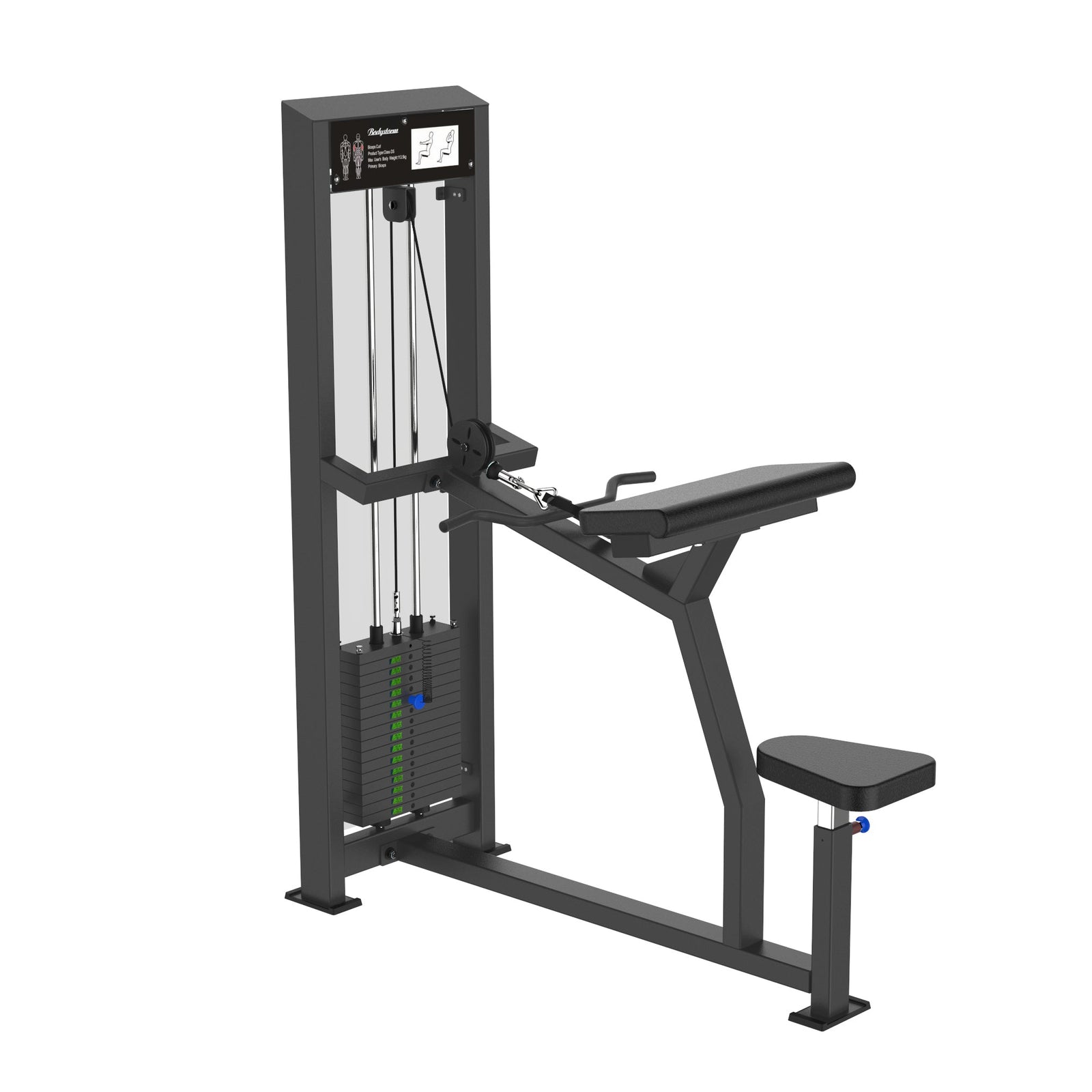 Biceps Curl  Dstars Gym Equipment Philippines