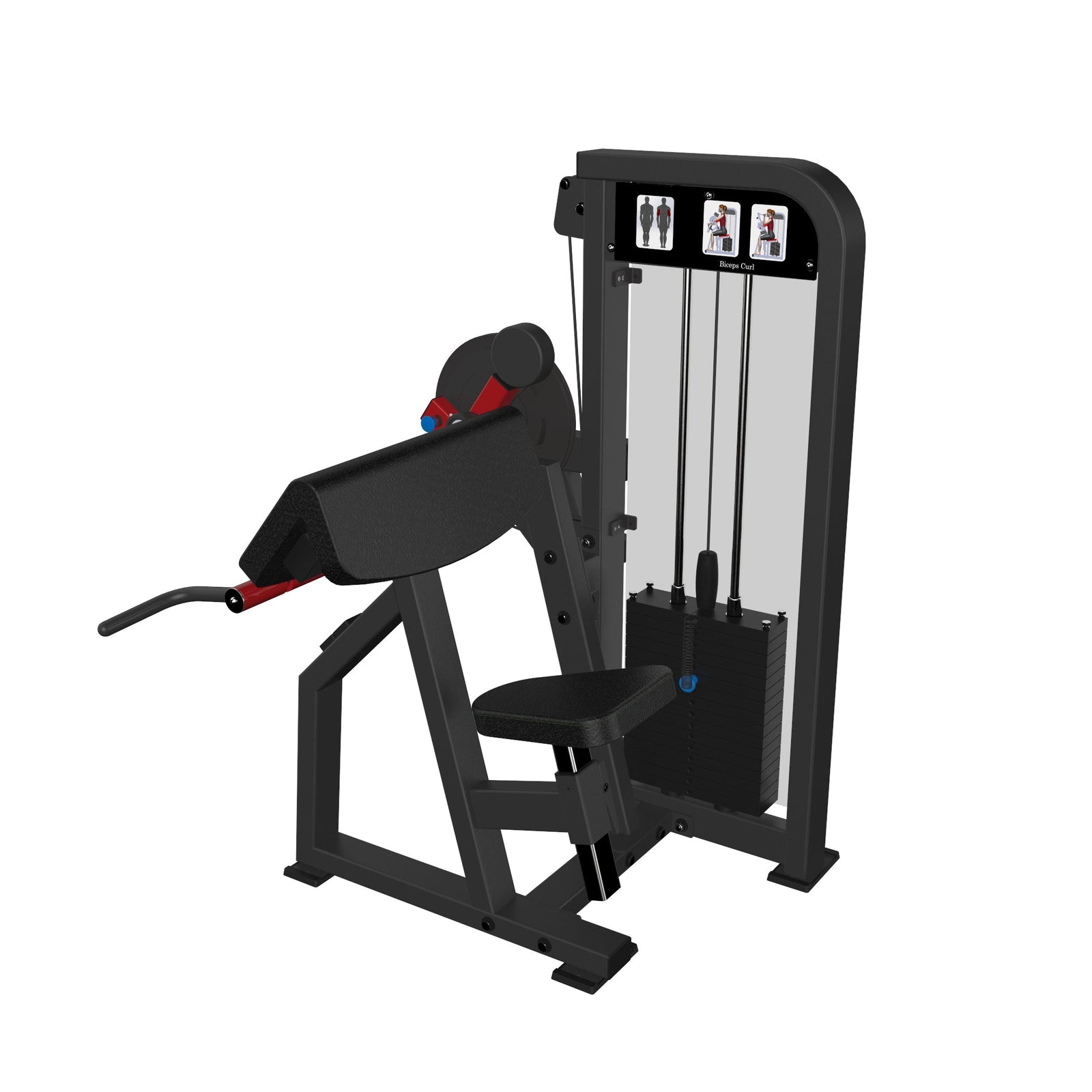 Biceps/Triceps  Dstars Gym Equipment Philippines