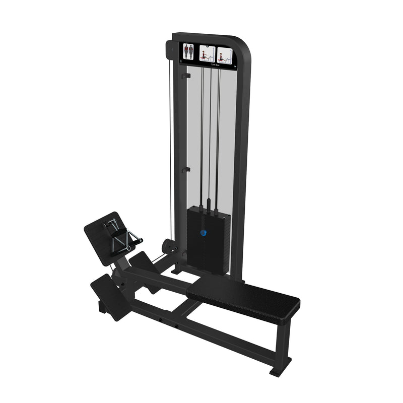 Low Row  Dstars Gym Equipment Philippines