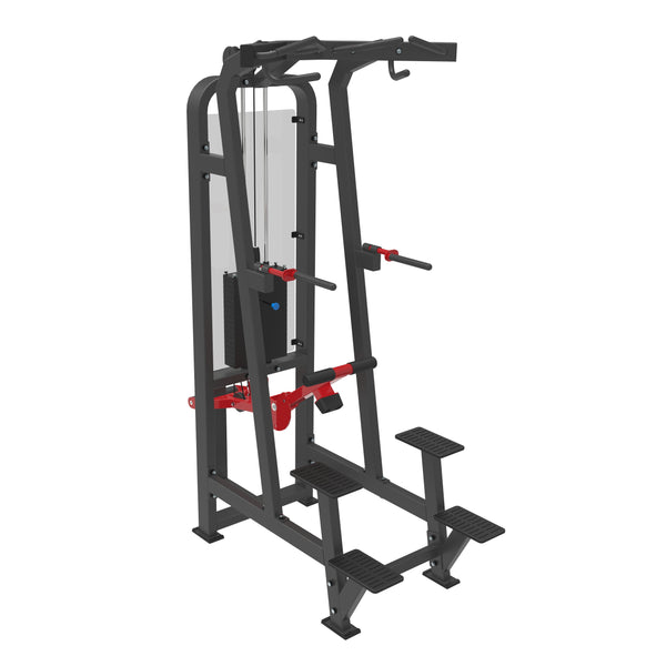 Standing Assisted Chin Dip  Dstars Gym Equipment Philippines