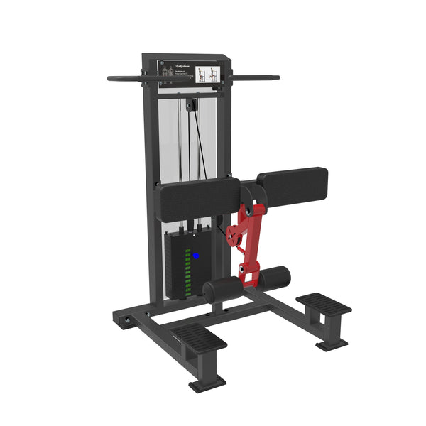 Standing Leg Curl  Dstars Gym Equipment Philippines