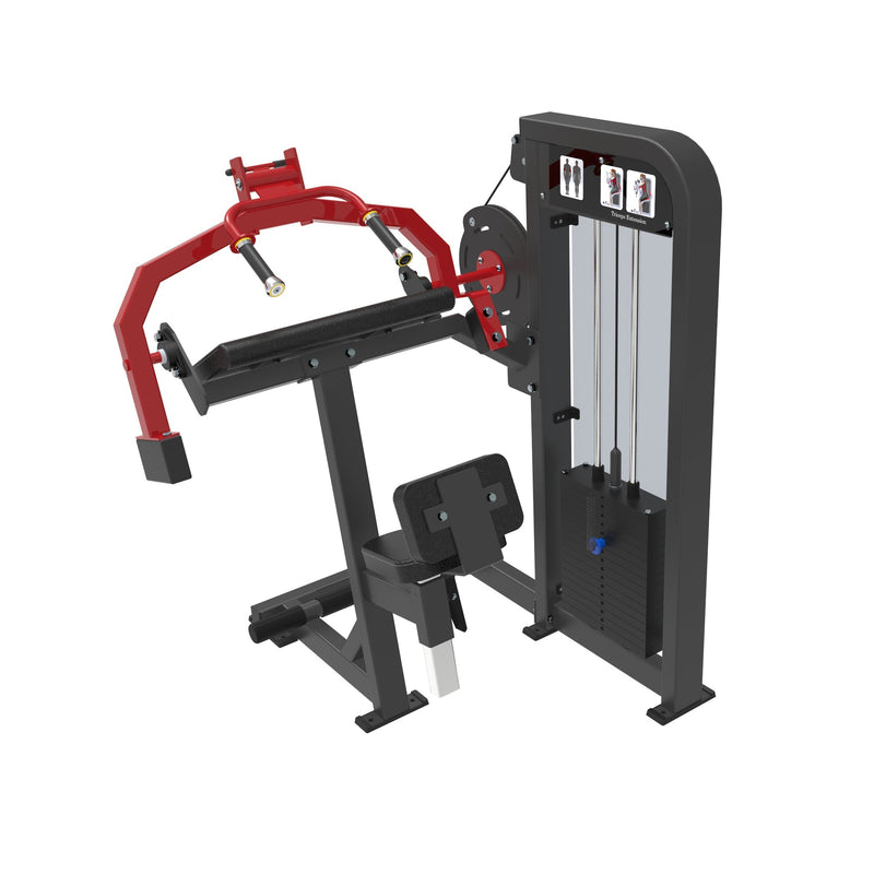Triceps Extension  Dstars Gym Equipment Philippines